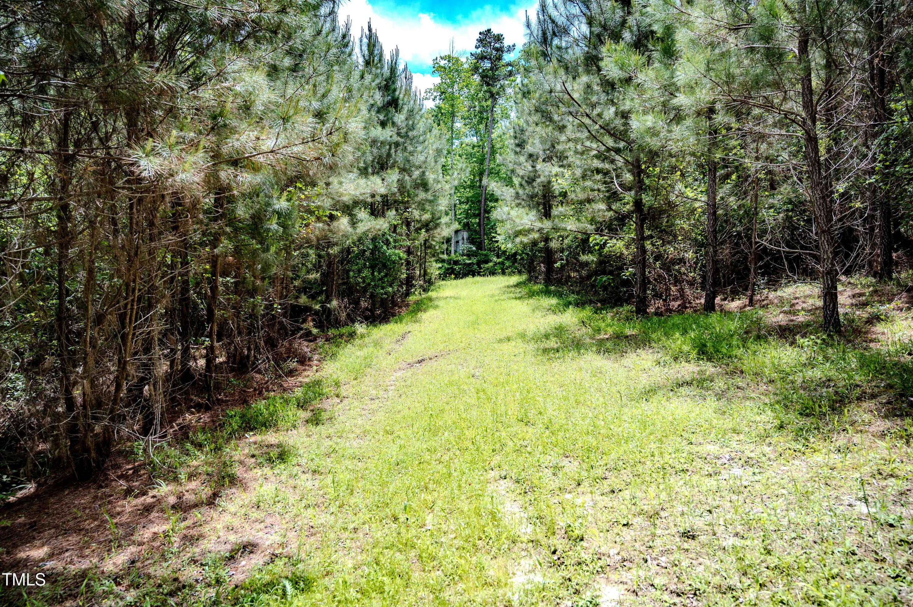 0 Womack Road Broadway, NC 27505 - Photo 35 of 100 HOCF (29)