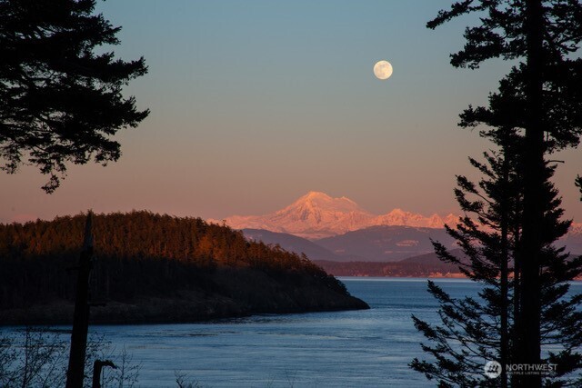 346 Thatcher Pass Road Decatur Island, WA 98221 - Photo 38 of 39