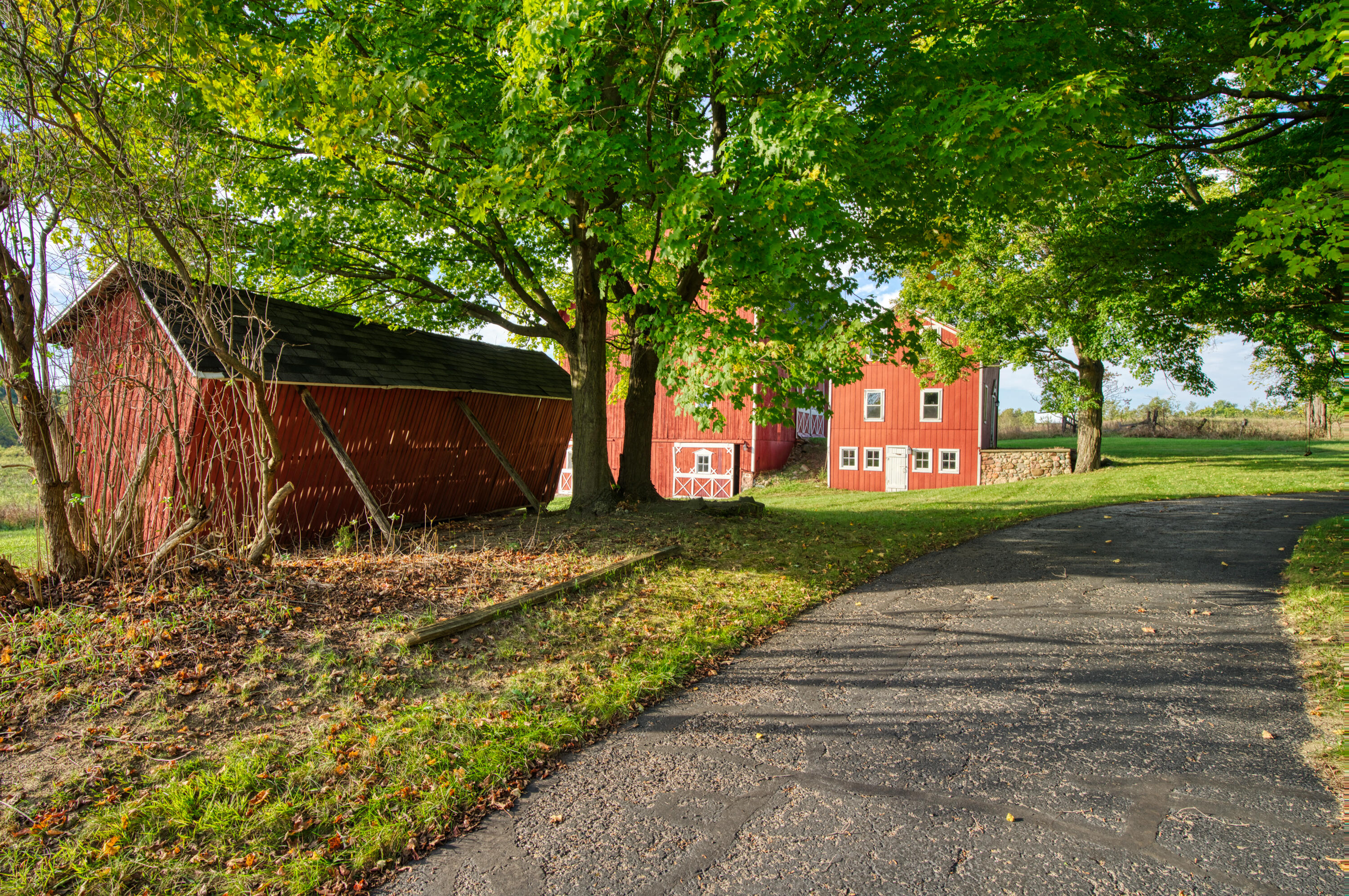 12900 Beecher Road Hudson, MI 49247 - Photo 14 of 89 DSC06611_46
