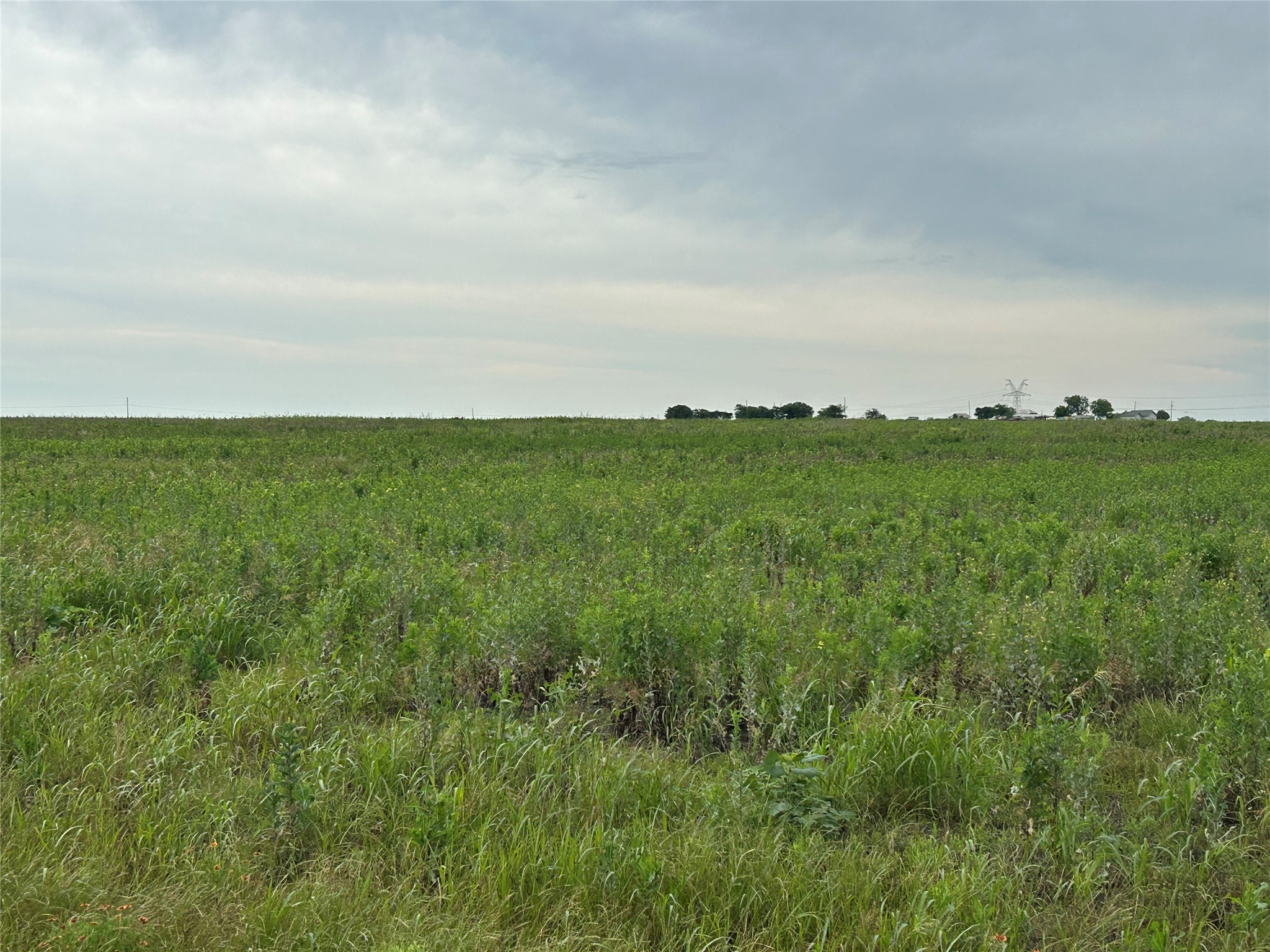 Tbd Gooseneck Road Bartlett, TX 76511 - Photo 4 of 6 a view of a green field with lots of bushes