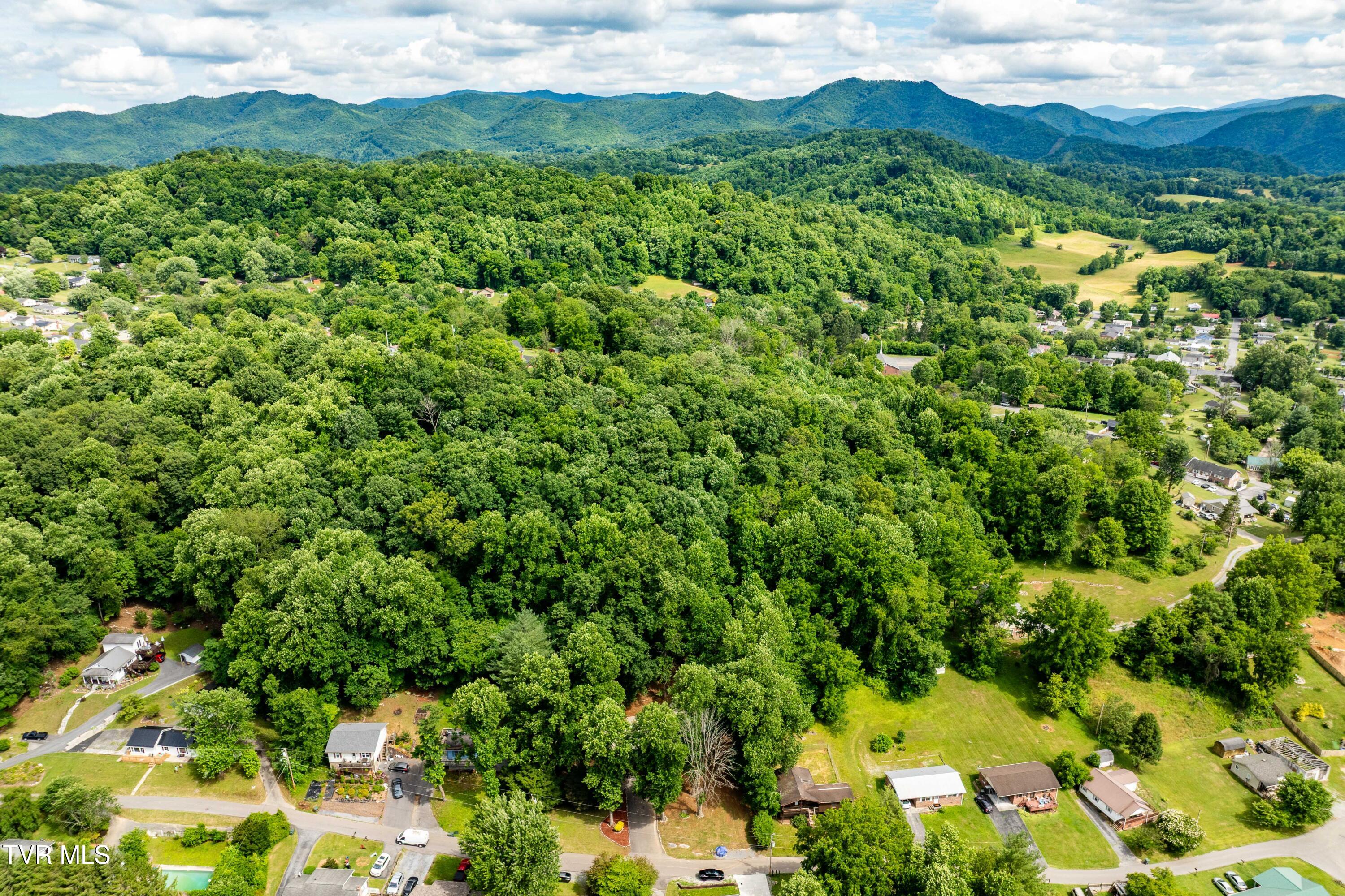 1113 Berry Road Elizabethton, TN 37643 - Photo 53 of 88 1113 Berry Rd (14 of 89)