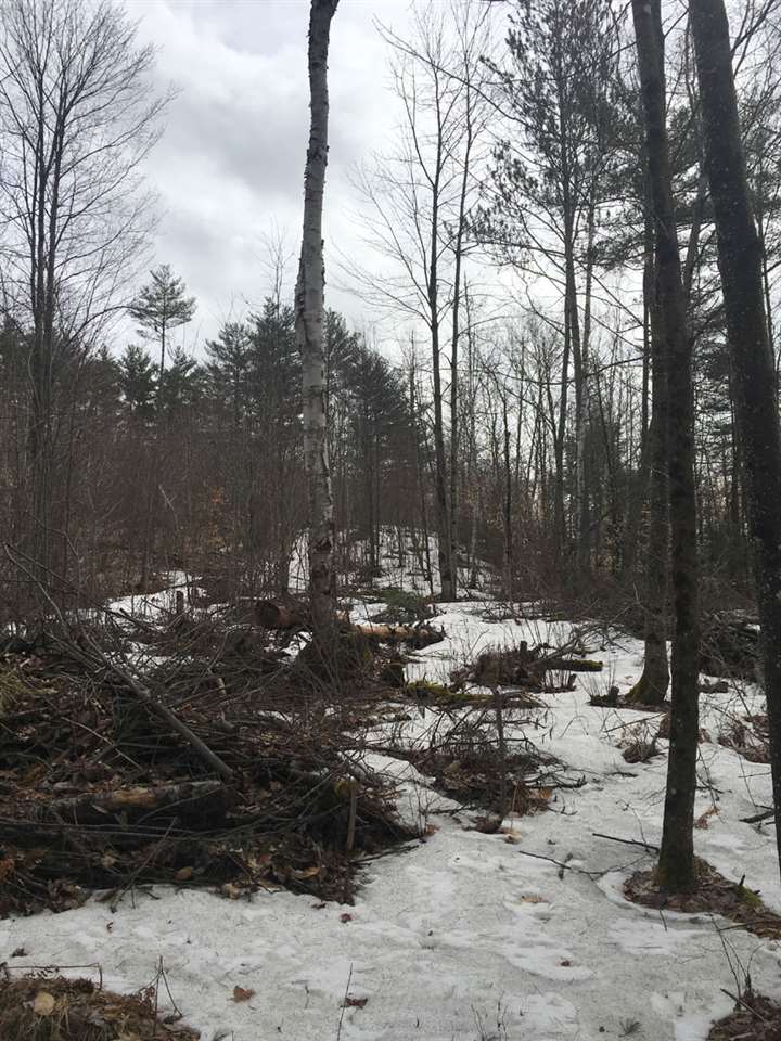 Buffalo Road, Unit 2 Wentworth, NH 03282 - Photo 11 of 17