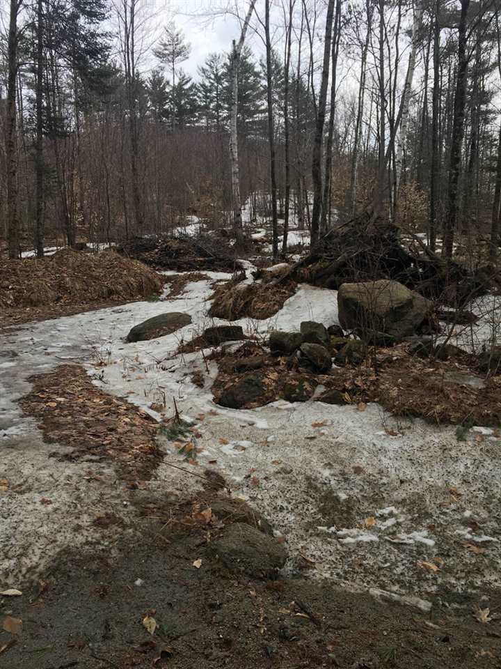 Buffalo Road, Unit 2 Wentworth, NH 03282 - Photo 3 of 17