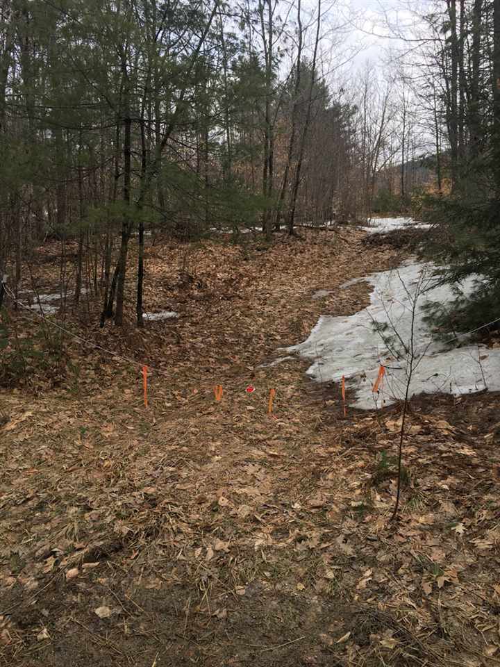 Buffalo Road, Unit 2 Wentworth, NH 03282 - Photo 4 of 17