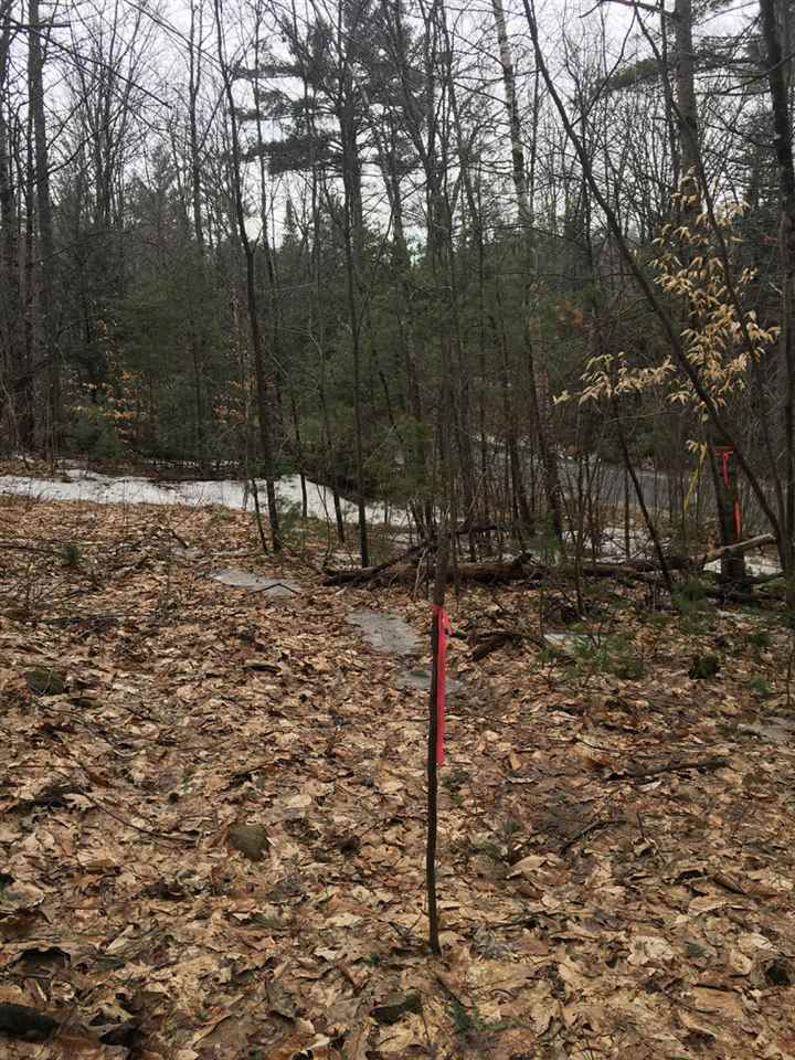 Buffalo Road, Unit 2 Wentworth, NH 03282 - Photo 5 of 17