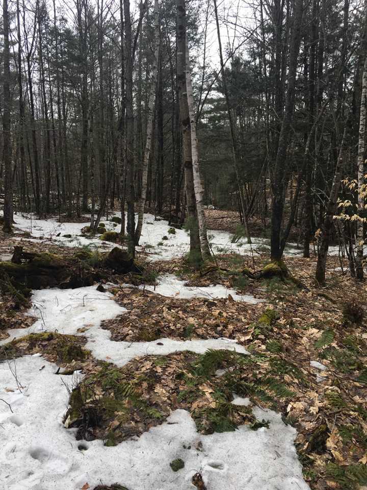 Buffalo Road, Unit 2 Wentworth, NH 03282 - Photo 6 of 17