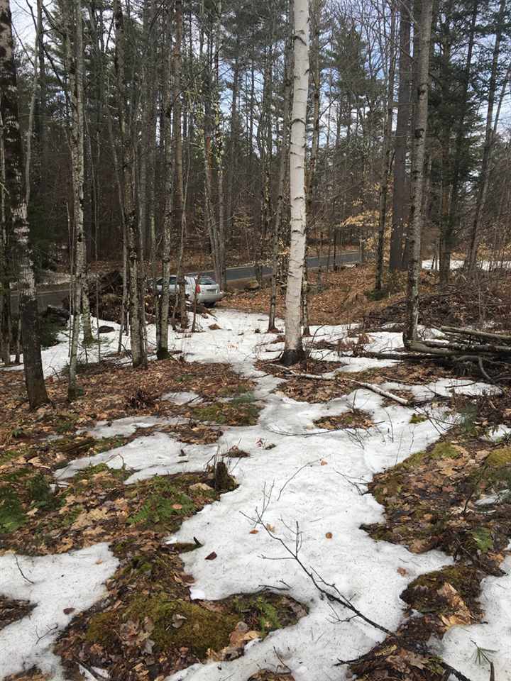 Buffalo Road, Unit 2 Wentworth, NH 03282 - Photo 7 of 17