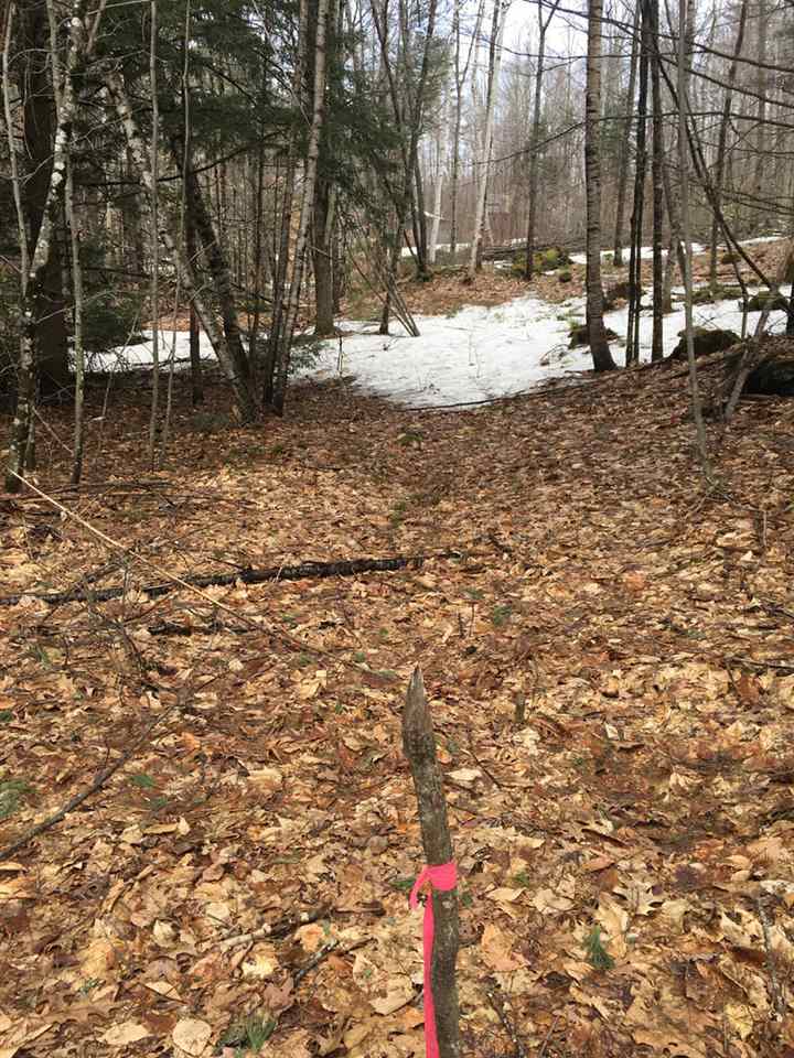 Buffalo Road, Unit 2 Wentworth, NH 03282 - Photo 8 of 17