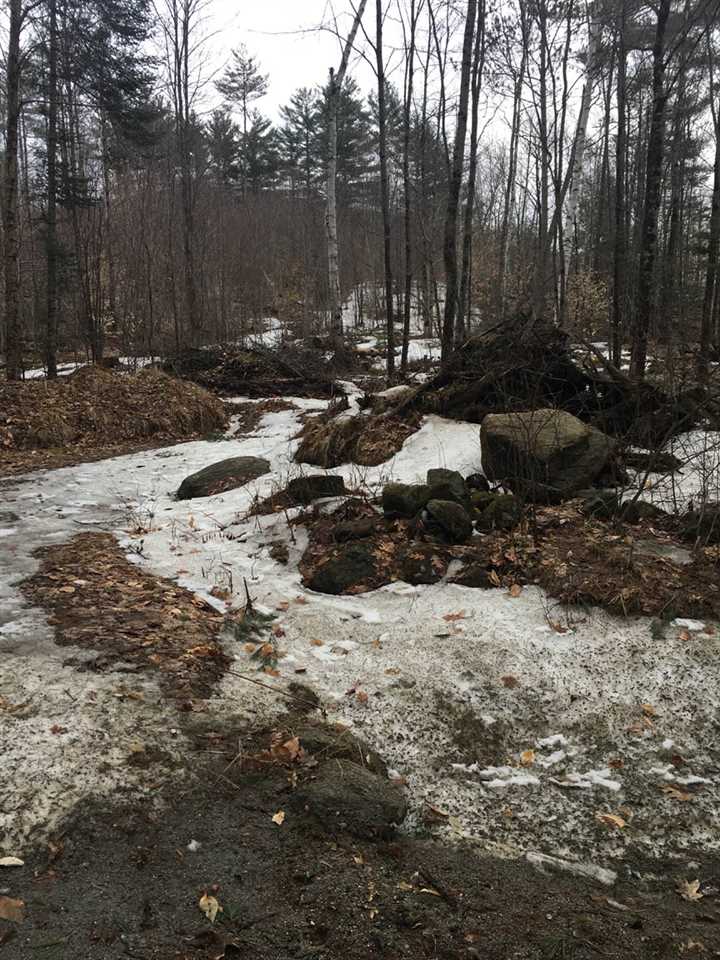 Buffalo Road, Unit 2 Wentworth, NH 03282 - Photo 9 of 17