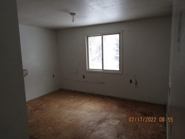 695 West Bessinger Road Twining, MI 48766 - Photo 5 of 15