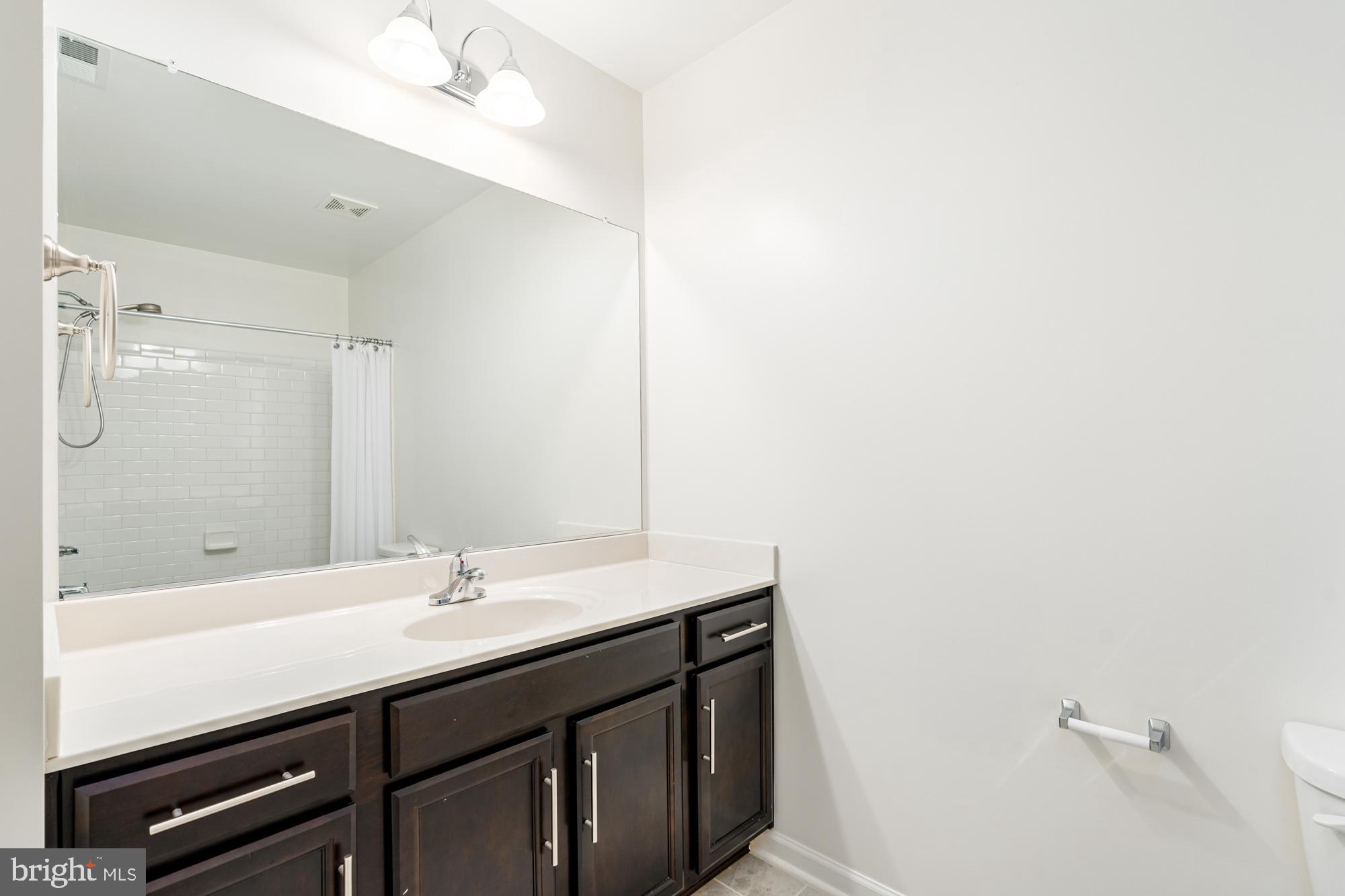 112 Prickly Pear Place Stephenson, VA 22656 - Photo 4 of 31 a bathroom with a sink a mirror and a bathtub
