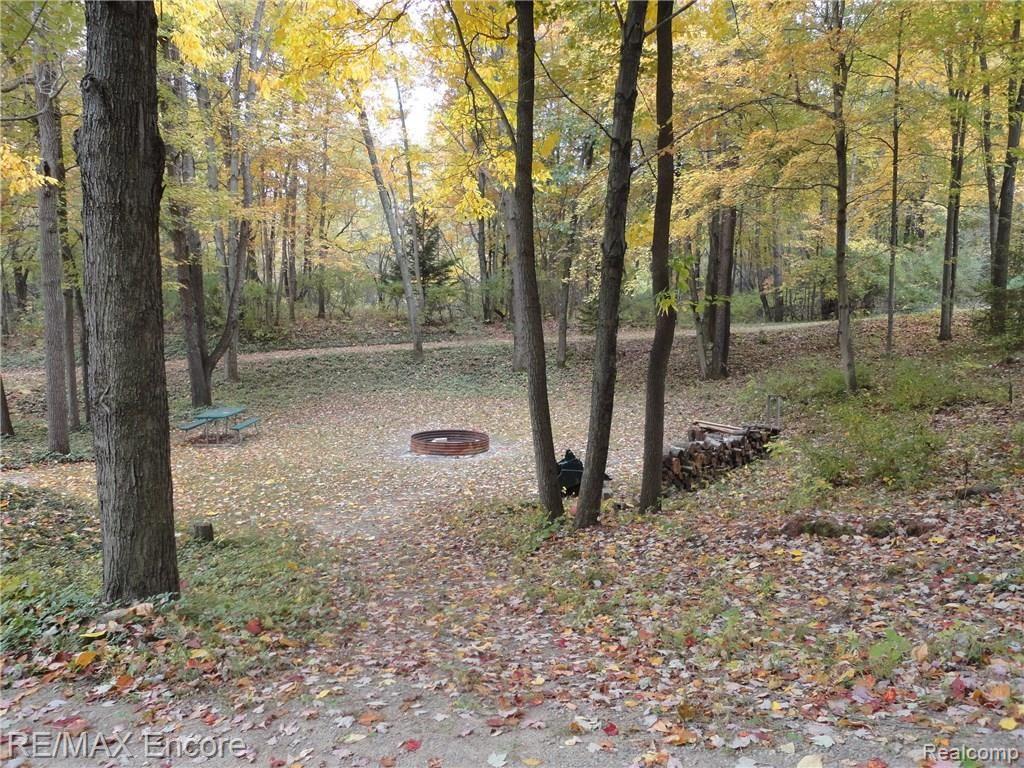 4431 Hough Road Dryden, MI 48428 - Photo 17 of 42 firepit area - Copy.jpg