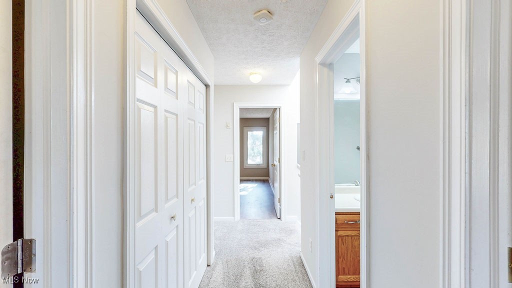 1426 Loop Road, Unit 1426 Kent, OH 44240 - Photo 19 of 40 This hallway on the second story features the closet that opens to the washer and dryer.