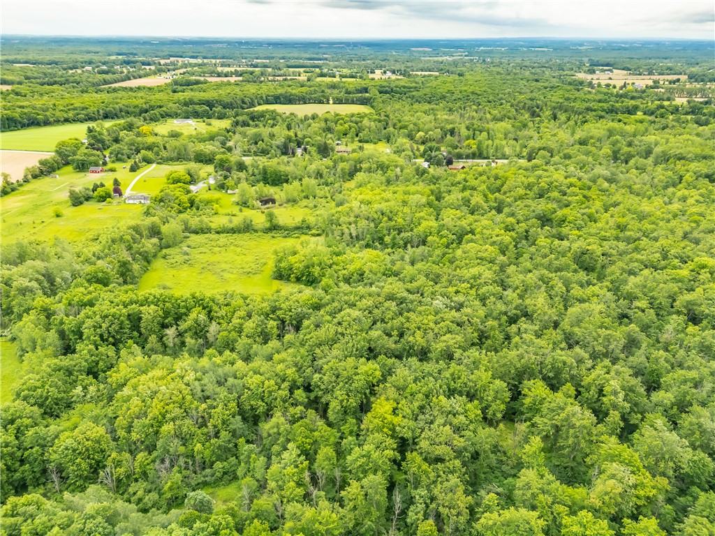 894 Ladue Road Sweden, NY 14420 - Photo 11 of 15