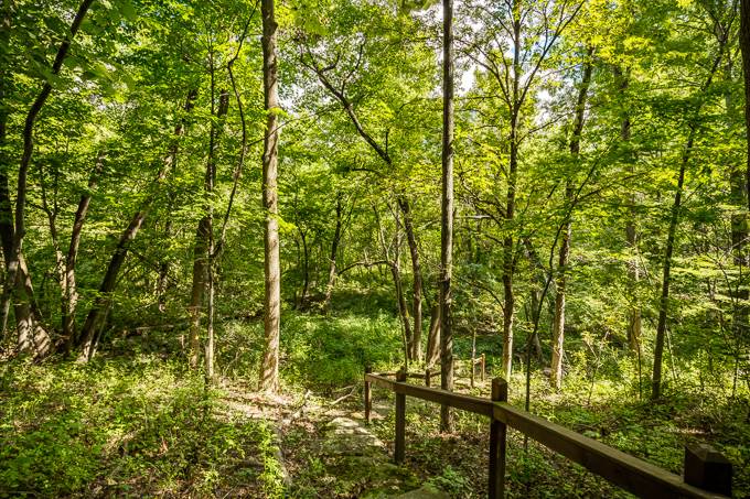 6115 Hursh Road Fort Wayne, IN 46845 - Photo 35 of 36