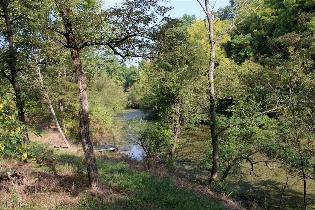 Leffler Road Roseville, OH 43777 - Photo 5 of 49 View of nature featuring a water view