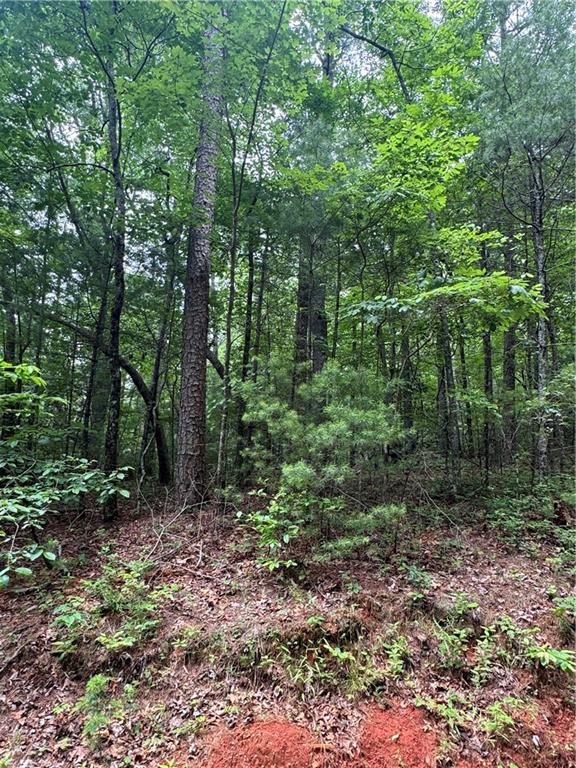 0 Nimblewill Creek Road Dahlonega, GA 30533 - Photo 2 of 8