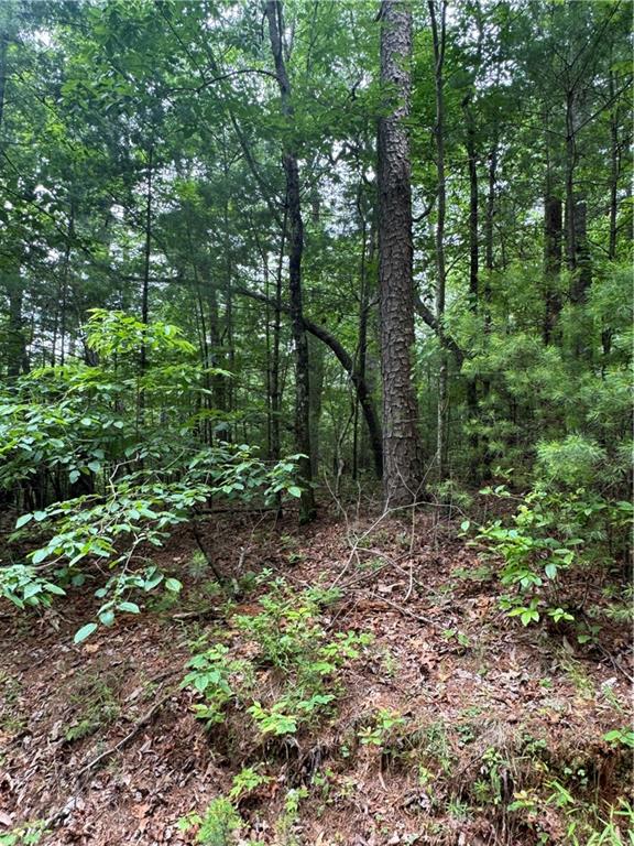 0 Nimblewill Creek Road Dahlonega, GA 30533 - Photo 3 of 8
