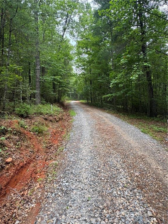 0 Nimblewill Creek Road Dahlonega, GA 30533 - Photo 4 of 8