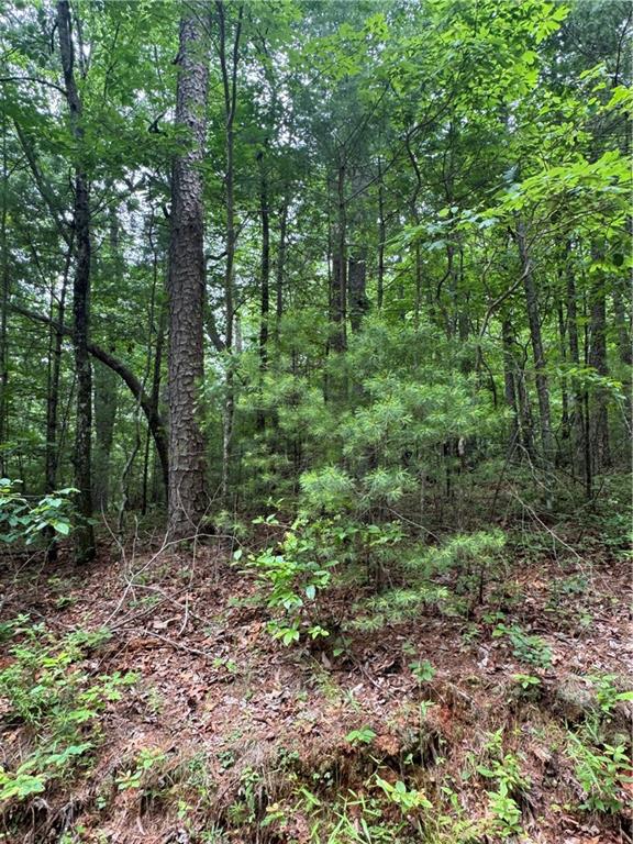 0 Nimblewill Creek Road Dahlonega, GA 30533 - Photo 5 of 8