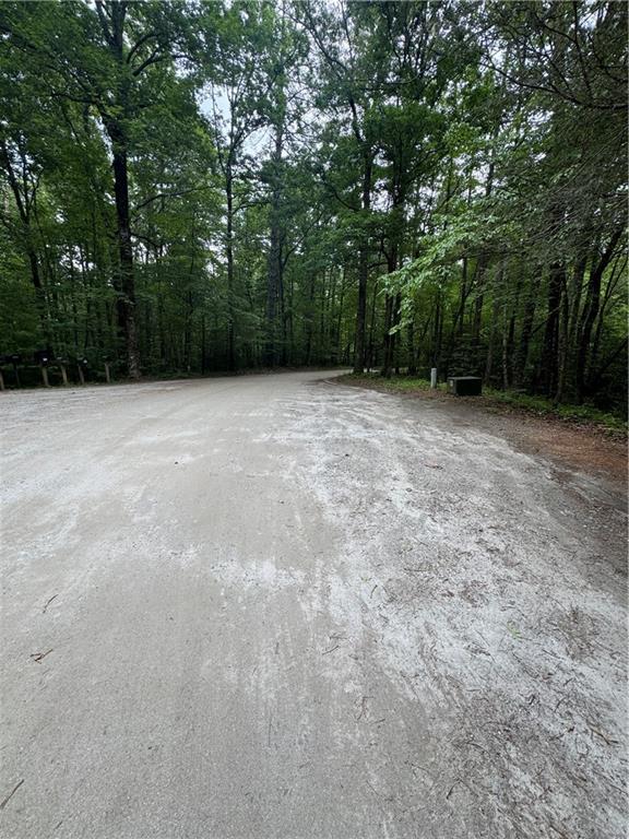 0 Nimblewill Creek Road Dahlonega, GA 30533 - Photo 7 of 8