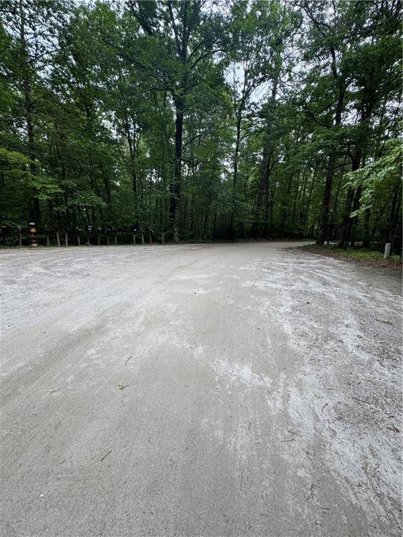 0 Nimblewill Creek Road Dahlonega, GA 30533 - Photo 8 of 8