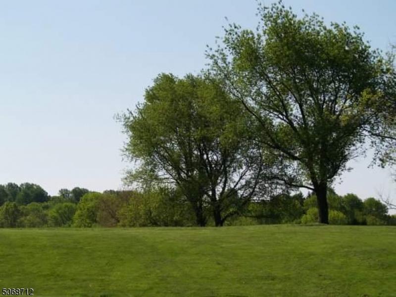 7 Exmoor Drive Mendham, NJ 07945 - Photo 3 of 6 a view of a grassy field with trees