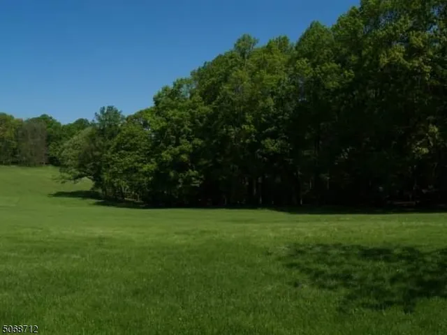 a view of a grassy field with trees in the background