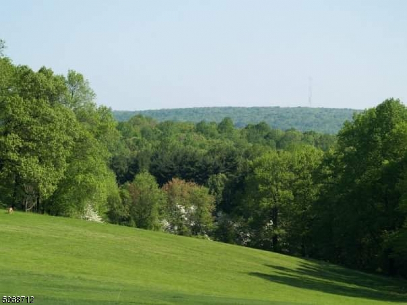 7 Exmoor Drive Mendham, NJ 07945 - Photo 5 of 6 a view of a grassy field with trees