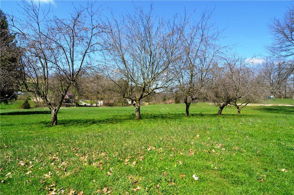 236 Hockey Road Tarrs, PA 15688 - Photo 5 of 25 4 apple trees.