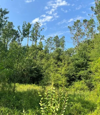 $84,900 | 102 Southwest Green Acres Way, Lake City, FL 32024