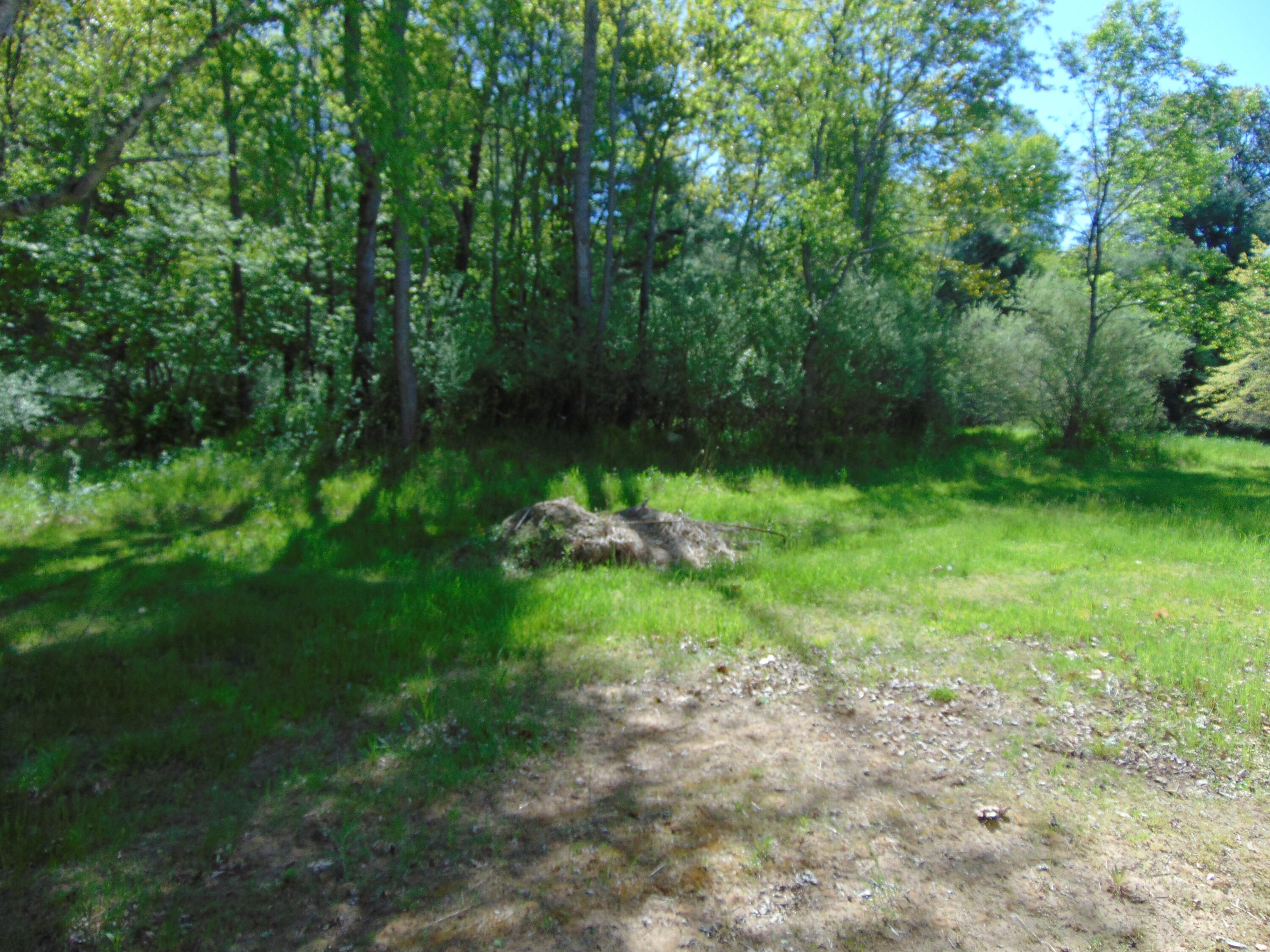 1595 South Poor Farm Road Mikado, MI 48745 - Photo 20 of 78 DSC05295