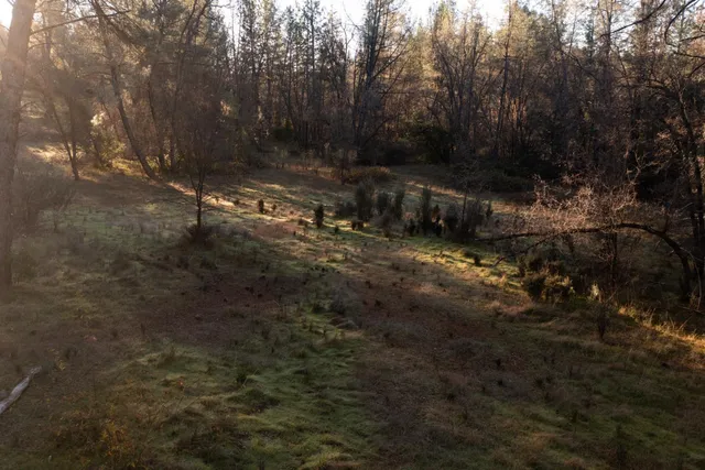 $199,000 | 574 Higdon Spink Road, West Point, CA 95255