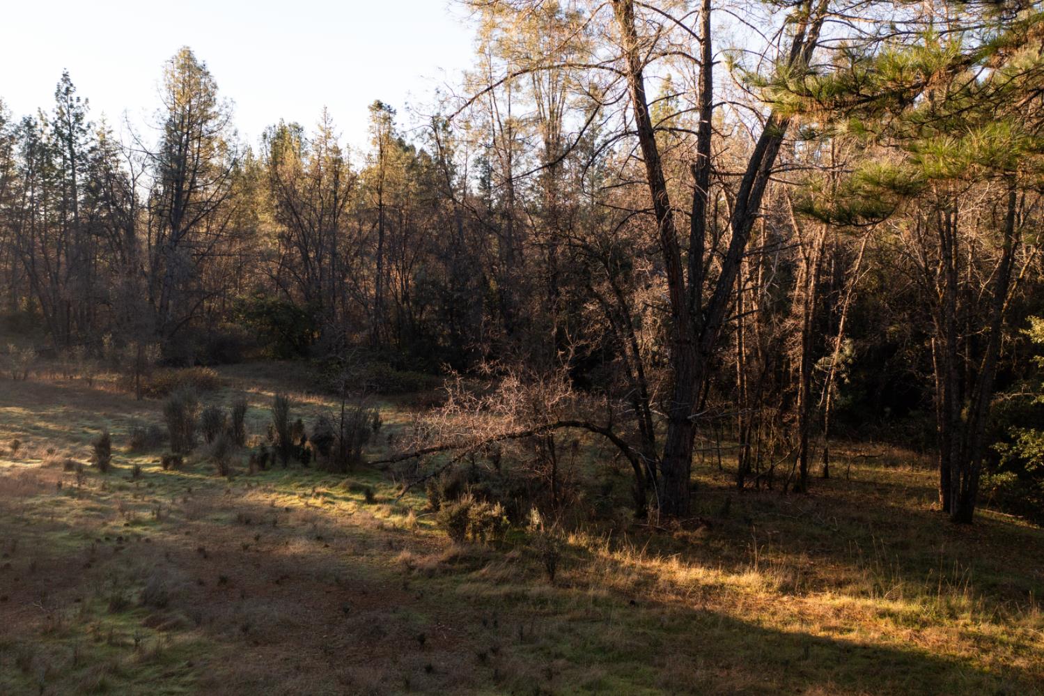 574 Higdon Spink Road West Point, CA 95255 - Photo 2 of 9