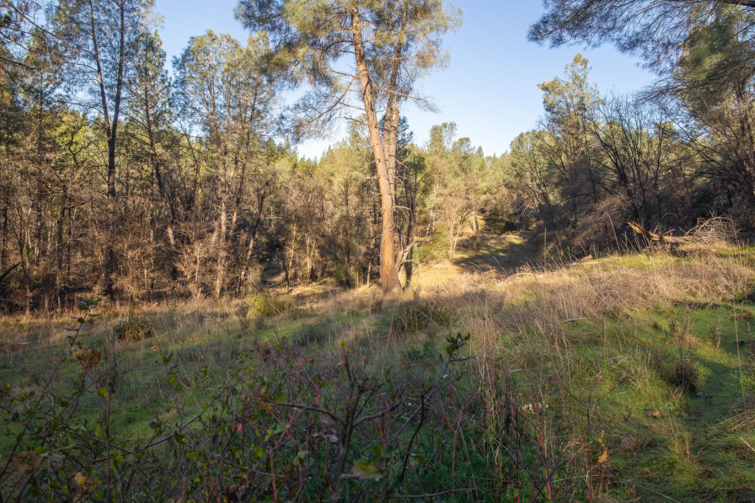 574 Higdon Spink Road West Point, CA 95255 - Photo 7 of 9