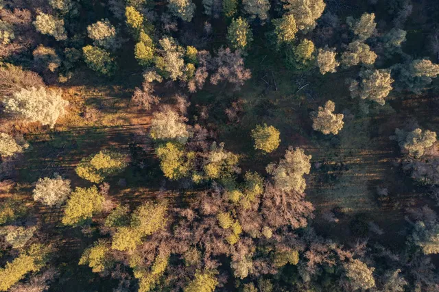 $199,000 | 574 Higdon Spink Road, West Point, CA 95255