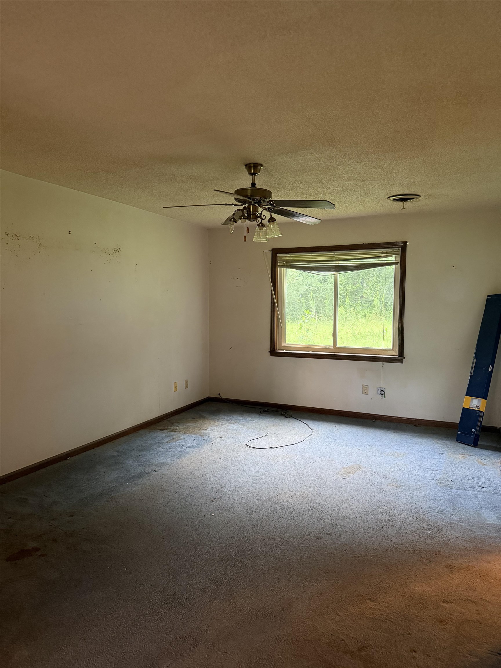 1355 Portersville Road Atoka, TN 38004 - Photo 2 of 9 Room featuring a ceiling fan with integrated lighting, a window with wood-finish trim, and wall-to-wall carpeting