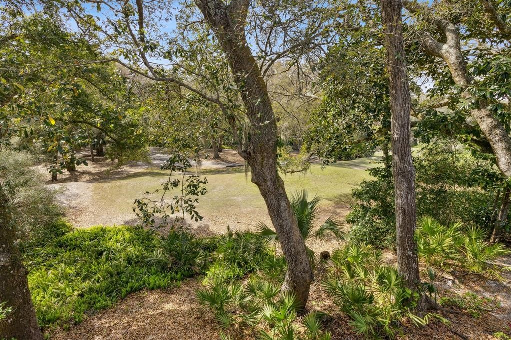 2004 Beachwood Road, Unit 2004 Fernandina Beach, FL 32034 - Photo 34 of 54 a view of lake with a tree