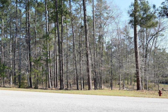 309 Walton Mill Road Appling, GA 30802 - Photo 12 of 13
