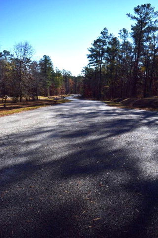 309 Walton Mill Road Appling, GA 30802 - Photo 4 of 13