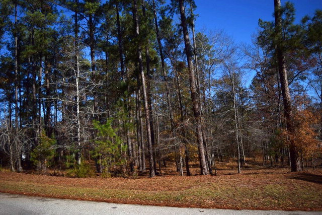 309 Walton Mill Road Appling, GA 30802 - Photo 5 of 13