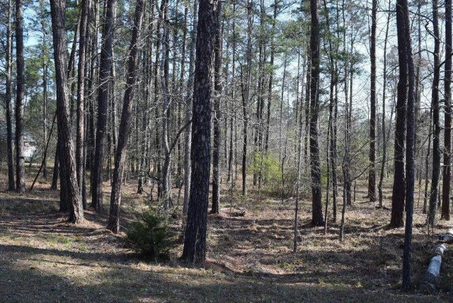 309 Walton Mill Road Appling, GA 30802 - Photo 6 of 13