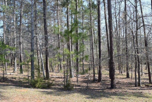 309 Walton Mill Road Appling, GA 30802 - Photo 8 of 13