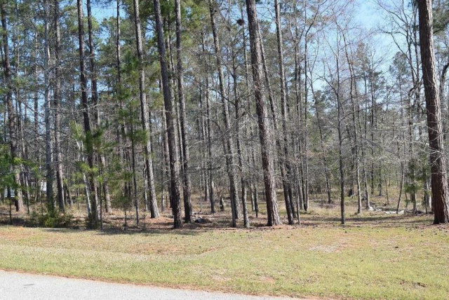 309 Walton Mill Road Appling, GA 30802 - Photo 9 of 13