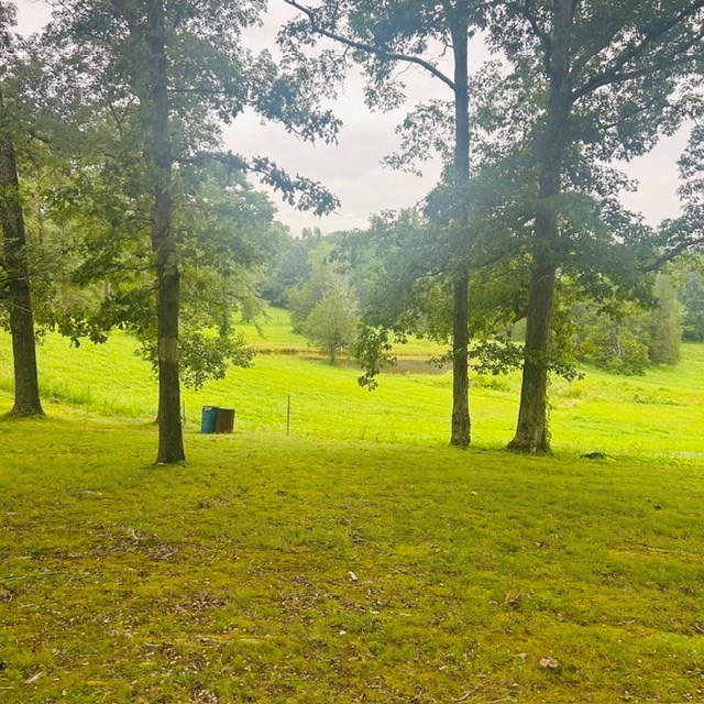 1030 Stones Road Camden, TN 38320 - Photo 13 of 54 Gallery Image 13