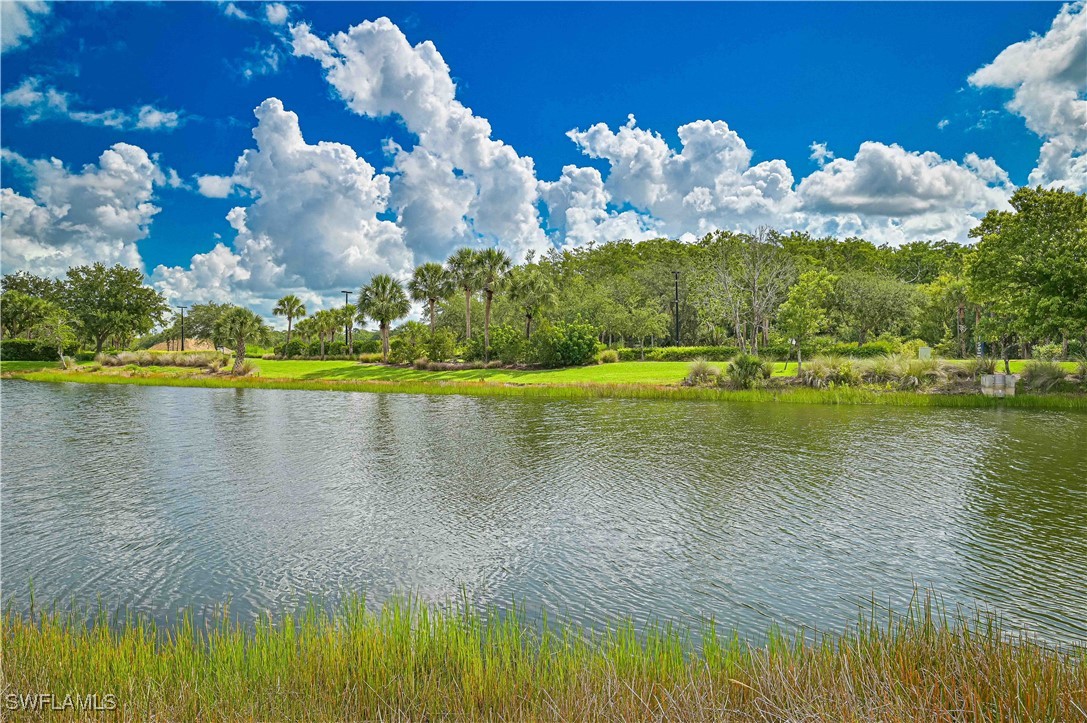 15239 Ligustrum Lane Alva, FL 33920 - Photo 7 of 42