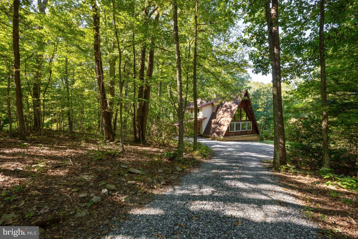 9396 Mountjoy Road Marshall, VA 20115 - Photo 2 of 45 Your own piece of tranquility
