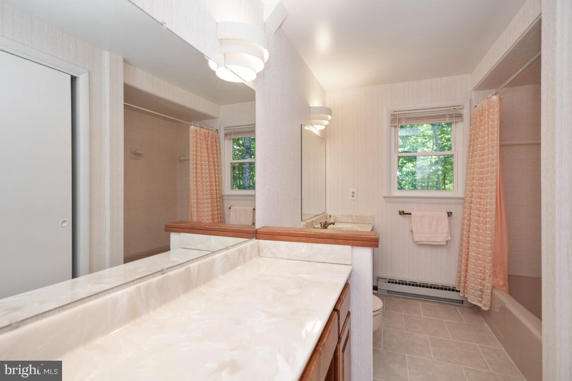 9396 Mountjoy Road Marshall, VA 20115 - Photo 22 of 45 Owner's Suite full bathroom
