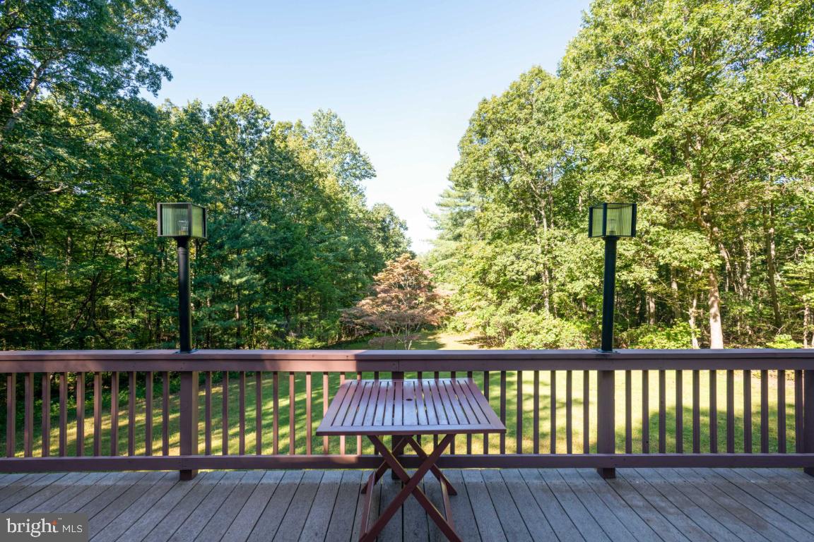 9396 Mountjoy Road Marshall, VA 20115 - Photo 35 of 45