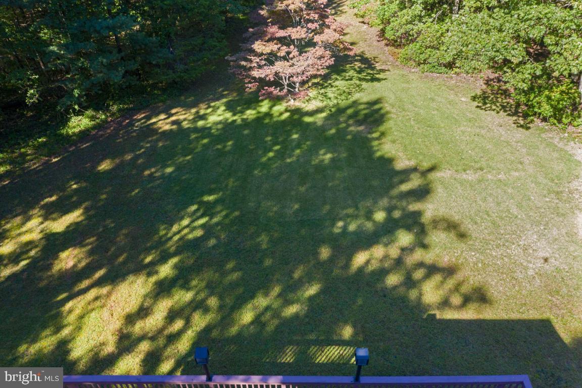 9396 Mountjoy Road Marshall, VA 20115 - Photo 42 of 45 Plenty of back yard space